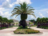 Highlight for Album: Orlando Magic Villa